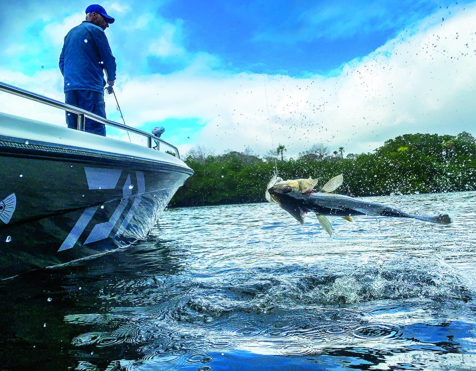 Jupiter Inlet Inshore: April 2020 - Coastal Angler & The Angler Magazine