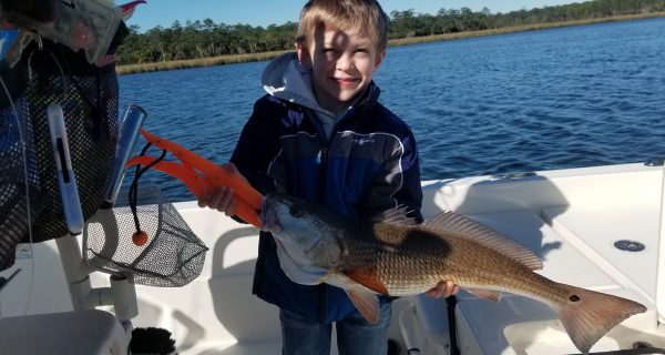 Lanark Redfish