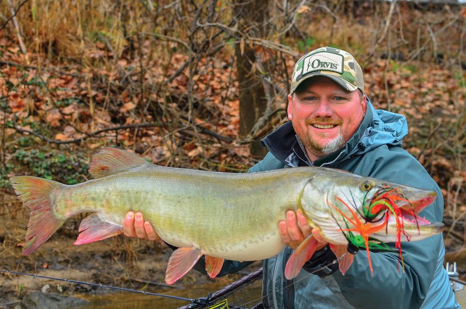 Musky tagged in upper James River - Coastal Angler & The Angler Magazine