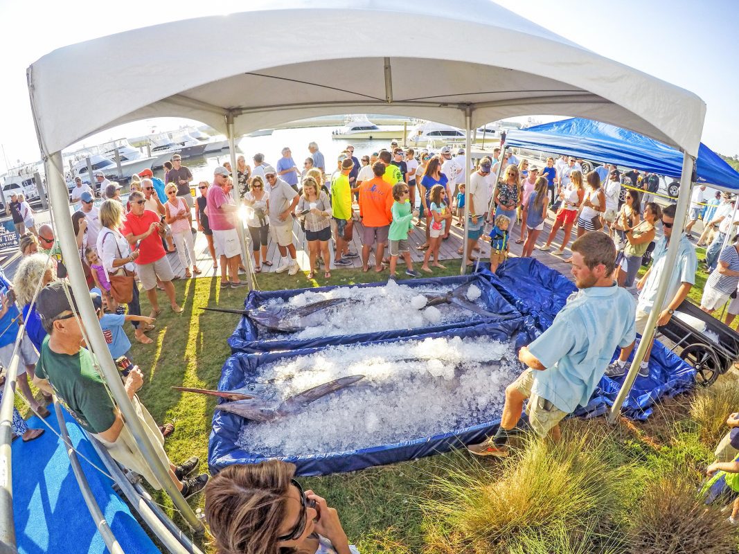 South Carolina Governor’s Cup Billfishing Series JUNE Report By Cameron