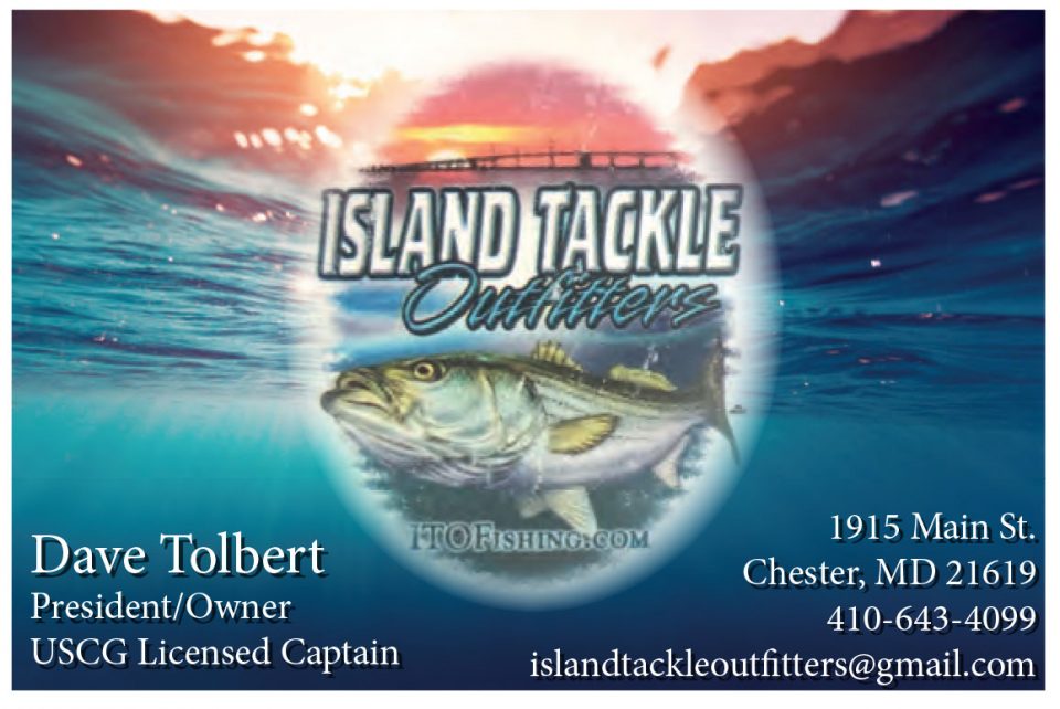 Chesapeake Bay September Fishing Forecast Coastal Angler & The Angler