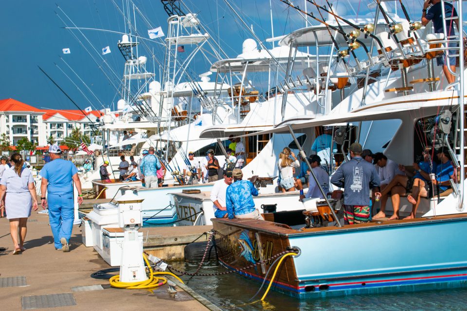 South Carolina Governor’s Cup Billfishing Series JULY Report By Cameron