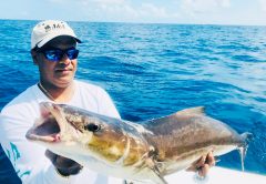 Nice cobia joined the crew aboard the Fire Fight.