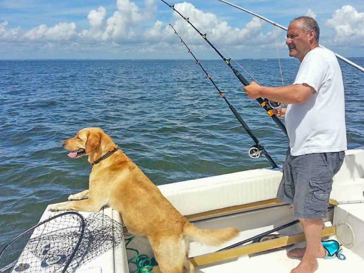 How Your Dog Can The Ultimate Fishing Trip Companion Coastal Angler & The Angler Magazine