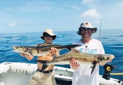 These guys enjoyed awesome cobia fishing recently aboard the Fire Fight with Capt. Joe.