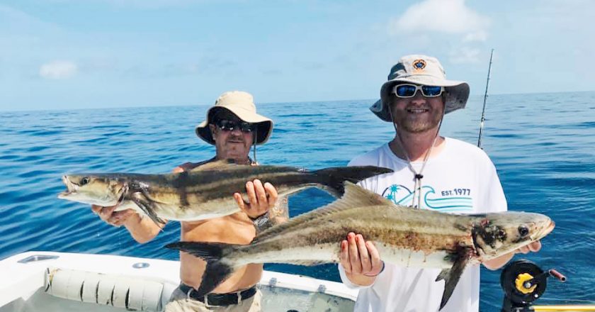 These guys enjoyed awesome cobia fishing recently aboard the Fire Fight with Capt. Joe.