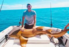 Member of the Grasse family enjoyed a beautiful morning shark adventure on the Firedup with Capt. Ryan.