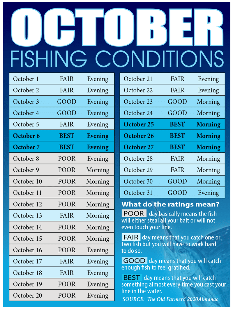 Fishing-Conditions | Coastal Angler & The Angler Magazine