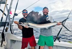 Capt. Joe and Jason (double trouble) caught a sweet sailfish, along with some mahi mahis , cudas and bonitas on a recent charter aboard the Fire Fight.
