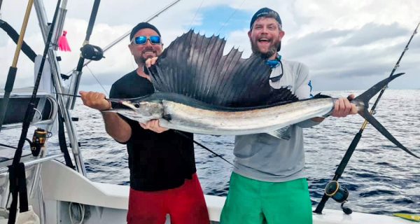 Capt. Joe and Jason (double trouble) caught a sweet sailfish, along with some mahi mahis , cudas and bonitas on a recent charter aboard the Fire Fight.