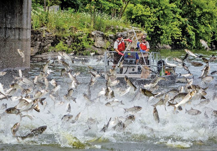 The Latest Asian Carp Battleground - Coastal Angler & The Angler Magazine
