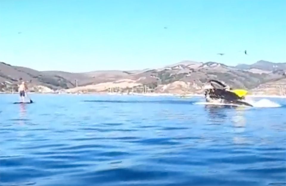 Kayakers swallowed by a humpback whale in Avila Beach, California