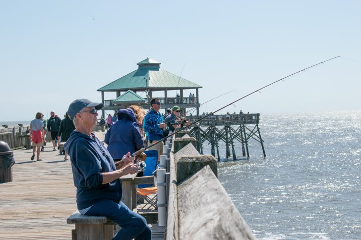 Finger Mullet ”A Catch All” Bait – By Jiggin Jerry - Coastal Angler & The  Angler Magazine