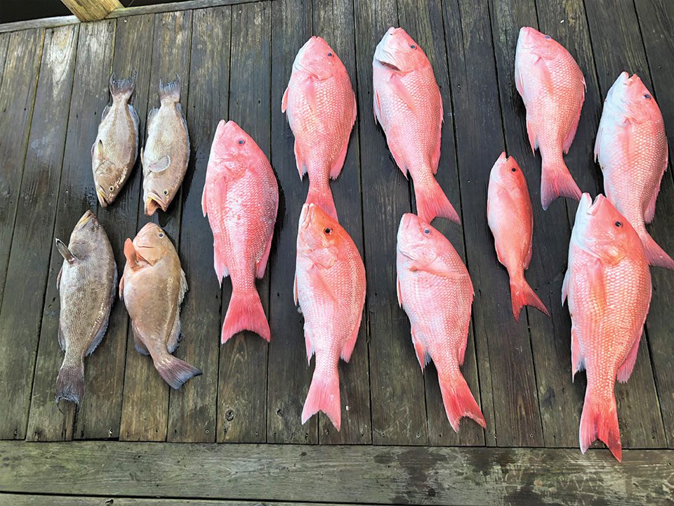 A Bonus Red Snapper Season Report Coastal Angler & The Angler Magazine