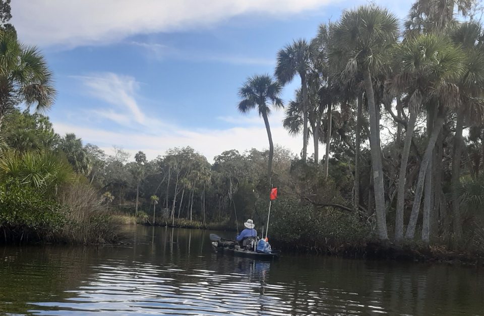 Coastal Angler Magazine - April / North Central Florida/Nature