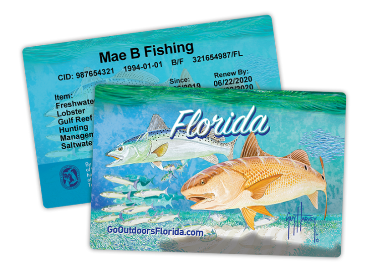 FWC UPDATE: Saltwater Fishing License Improves Fisheries - Coastal