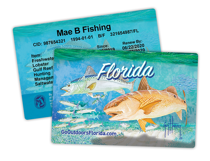 FWC UPDATE: Saltwater Fishing License Improves Fisheries - Coastal Angler &  The Angler Magazine