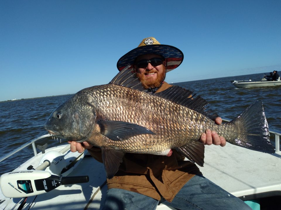 Black Drum - Coastal Angler & The Angler Magazine