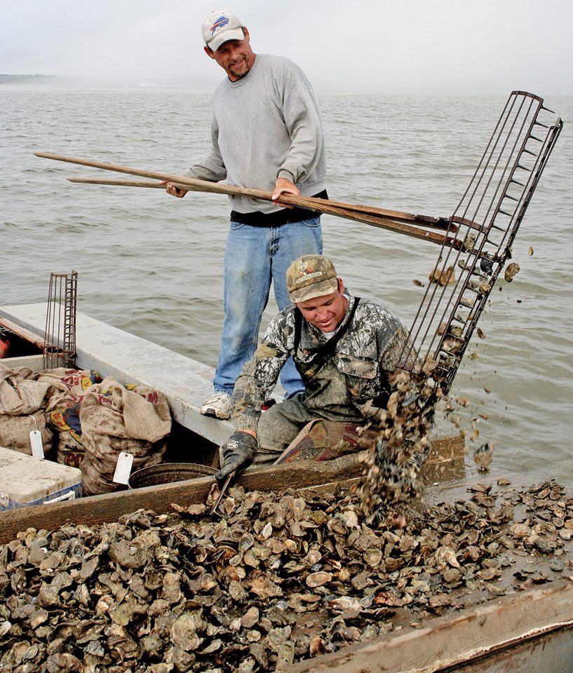 FWC Approves Oyster Plan For Apalachicola Bay Coastal Angler & The