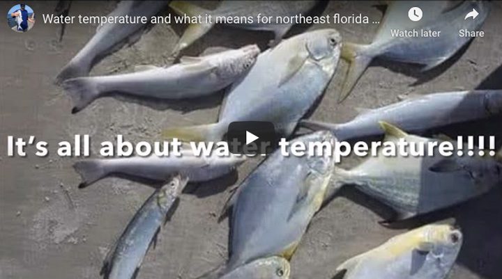 Water temp and what it means for surf fishing | Coastal Angler & The