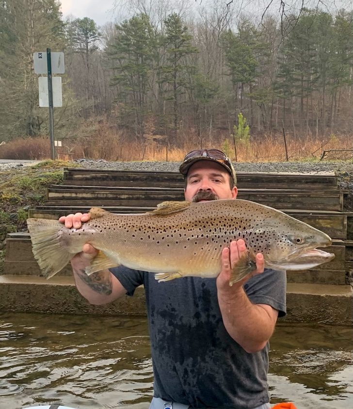 Monster Toccoa River Brown Trout - Coastal Angler & The Angler Magazine