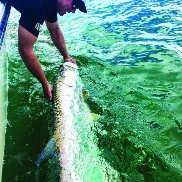 Tarpon Fishing Season in Florida: Useful Equipment and Resources