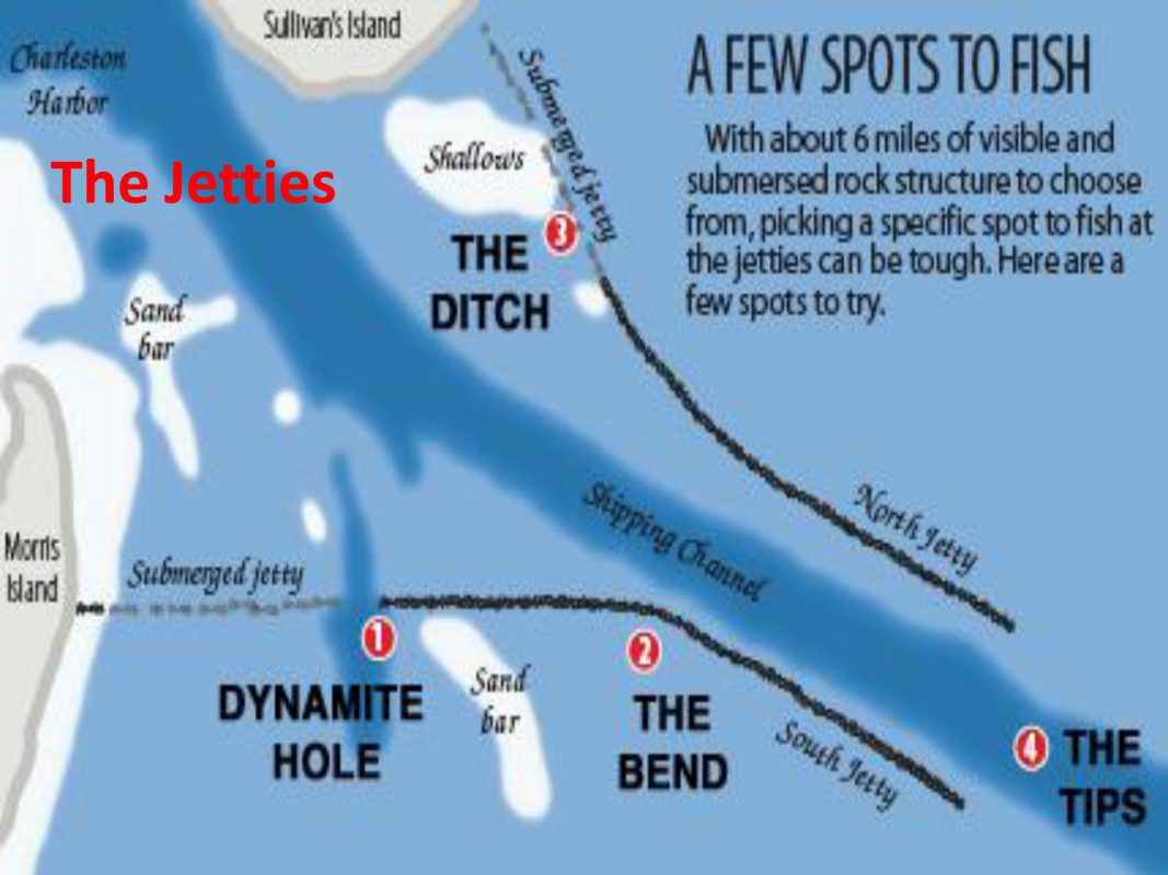 The Jetties Are Like A Box Of Chocolates - Coastal Angler & The Angler ...