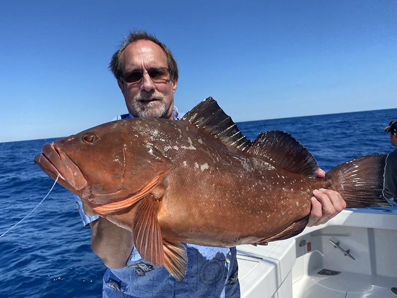 Grouper Season has Arrived Coastal Angler & The Angler Magazine