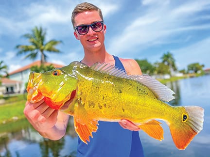 Keegan Huston caught and released a beautiful male peacock while fishing with South Florida Fishing Charters.