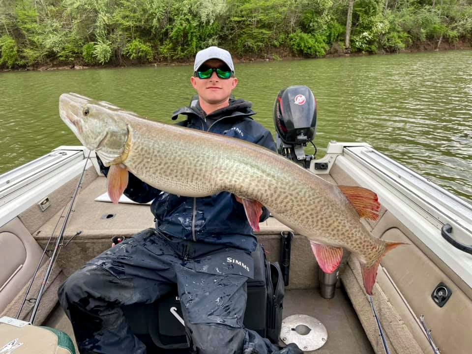 Recordbreaking musky caught and released in West Virginia Coastal