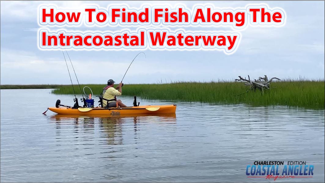 HOW TO FIND FISH ON THE INTRACOASTAL WATER WAY Coastal Angler & The