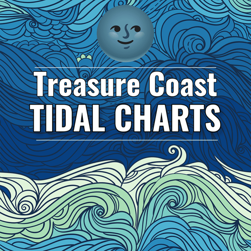 TIDAL CHART Coastal Angler The Angler Magazine