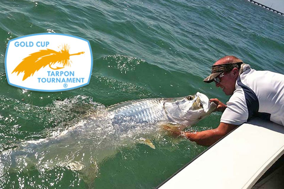 Stiff Competition at the Gold Cup Invitational Fly Fishing Tarpon