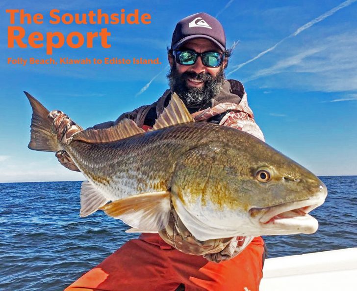 Folly Beach to Edisto Island Fishing Report For August – Capt John Ward -  Coastal Angler & The Angler Magazine