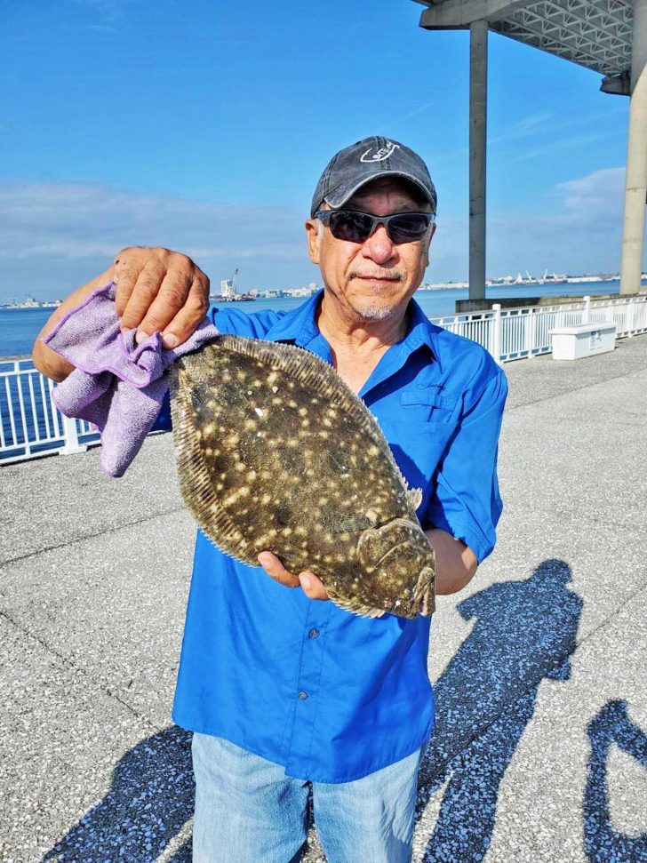 Mt Pleasant Pier August Fishing Forecast - Coastal Angler & The Angler ...