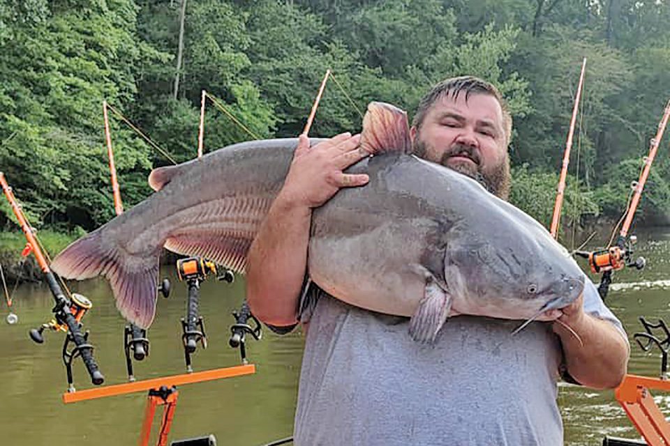 Angler Catches 1271 Pound Nc Record Blue Catfish Coastal Angler
