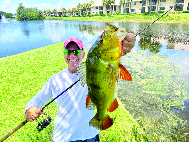 What should I buy for fishing in the canals “in Florida” :  r/FishingForBeginners