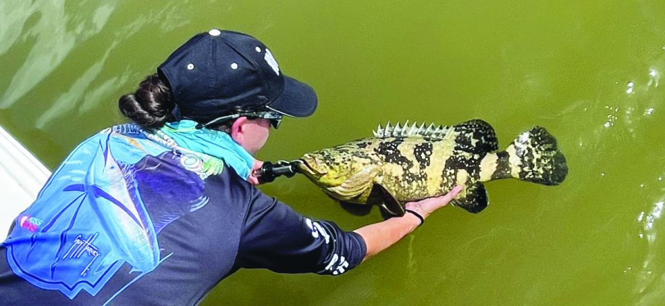 Some of the Best Weather and Bite of the Year - Coastal Angler & The ...