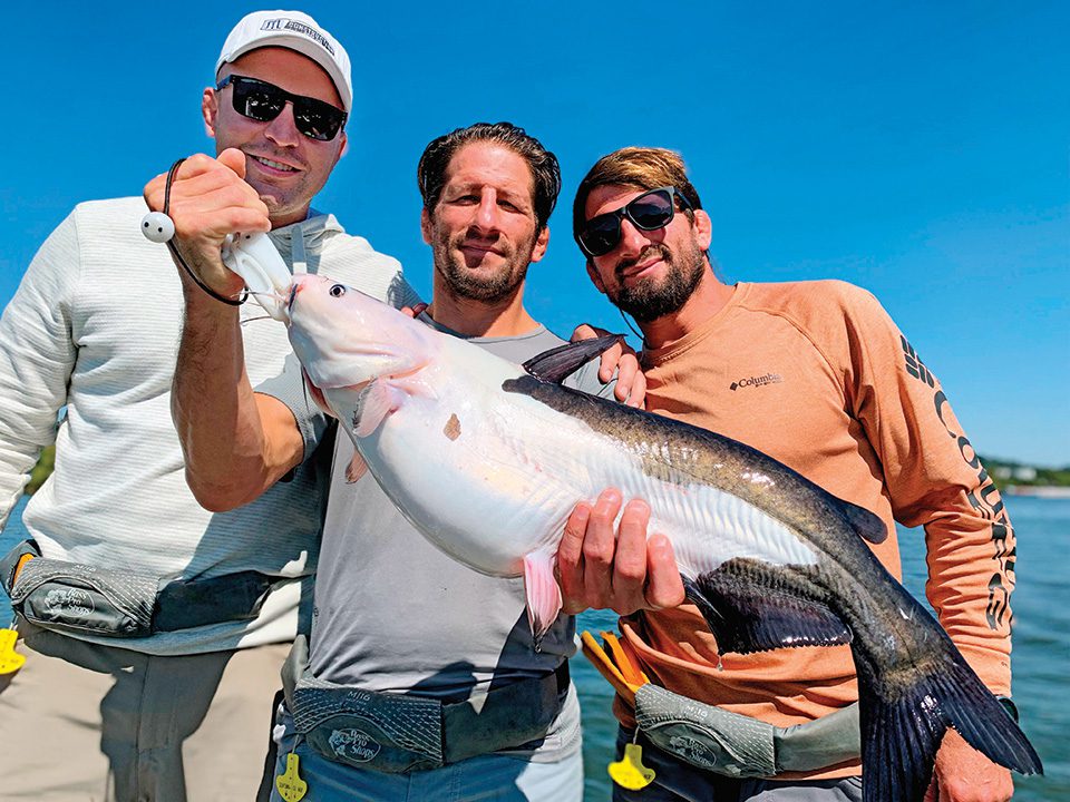 Anglers Catch Rare Piebald Cat On The Tennessee River - Coastal Angler &  The Angler Magazine