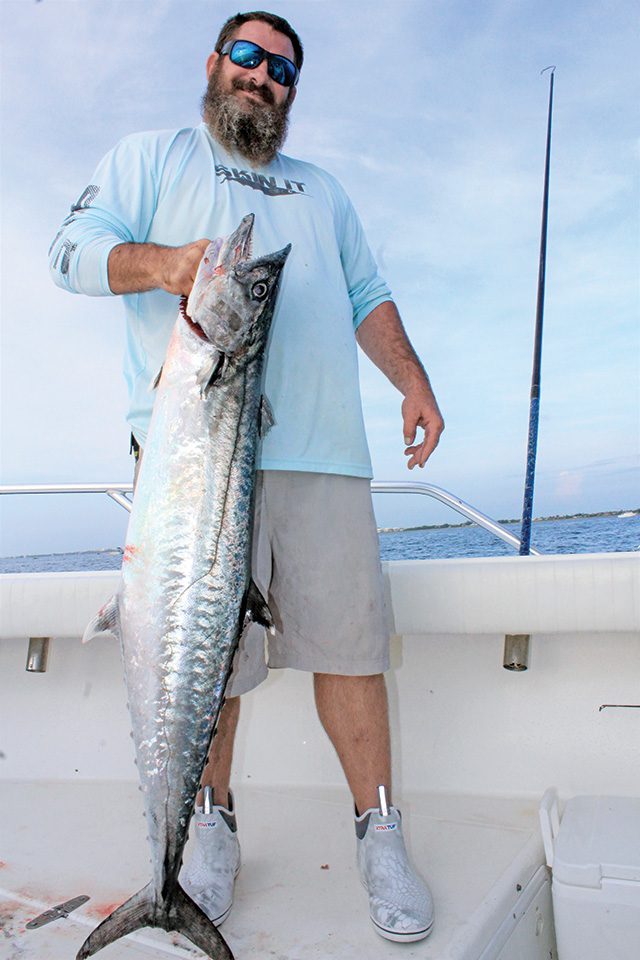Tailing The Kingfish Migration - Coastal Angler & The Angler Magazine