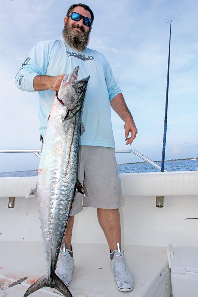 Follow The Fall Kingfish Migrations - Coastal Angler & The Angler