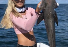 Darcizzle with a cobia