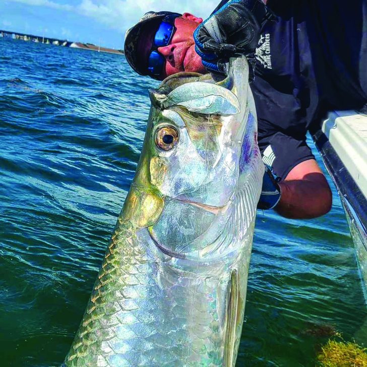 Night time Tarpon Fishing Hooked on Flamingo