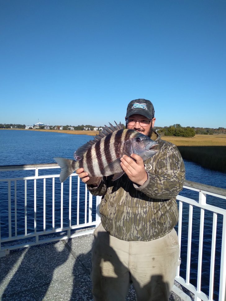 Mt Pleasant Pier July Fishing Forecast - Coastal Angler & The