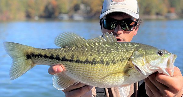 Mississippi bass fishing in January best around rocks