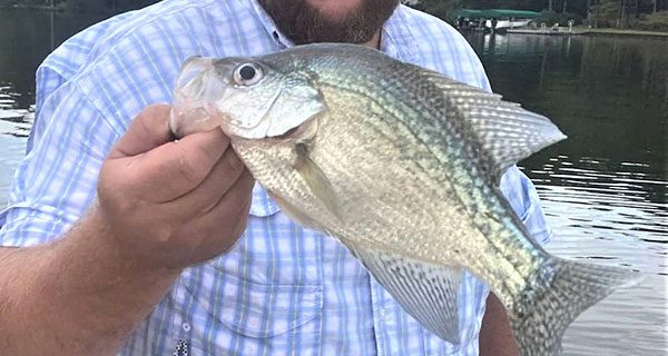 Six Shooter Crappie Rod by Todd Huckabee