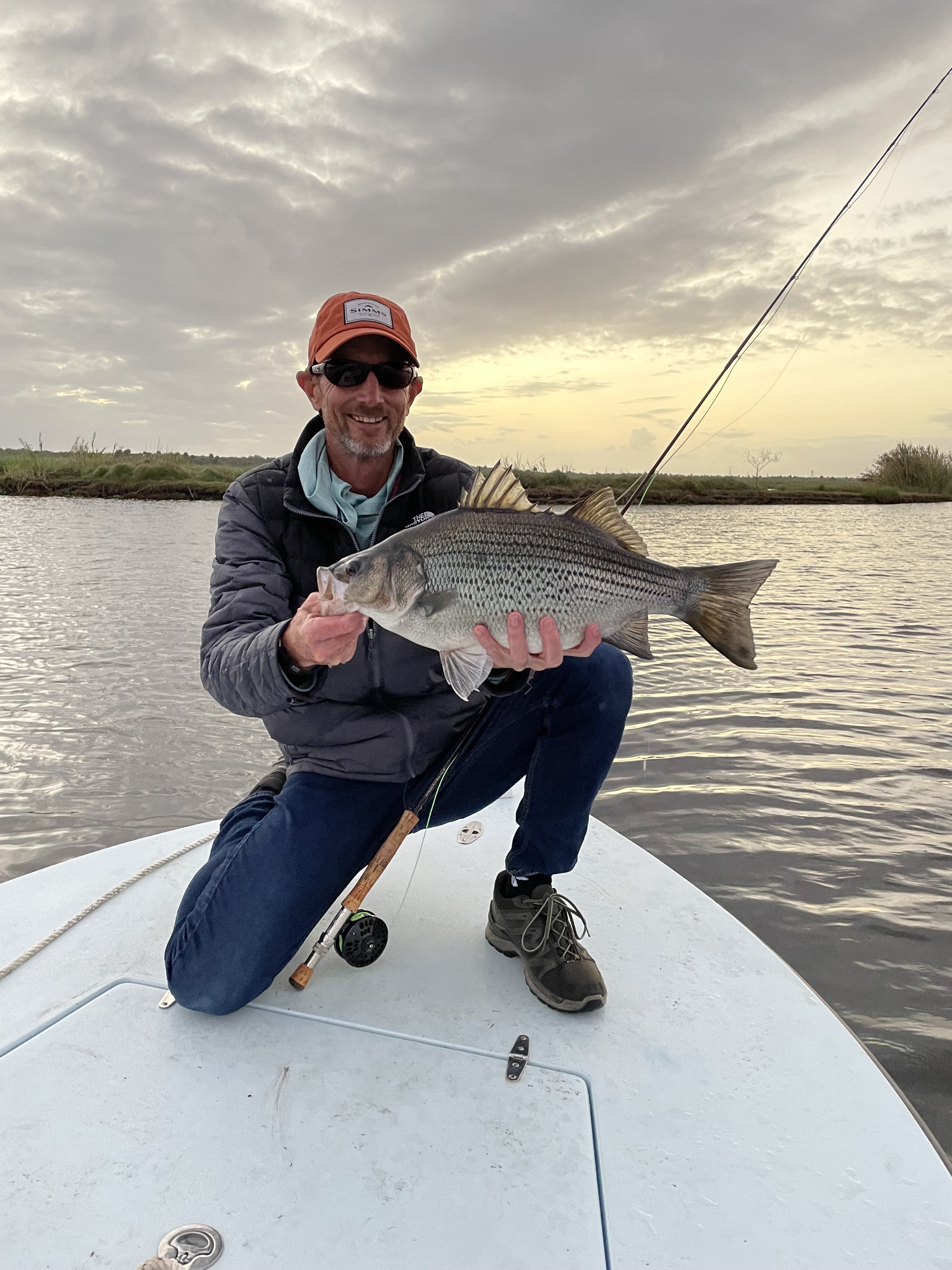 St. Johns River Hybrid Striper on Fly Coastal Angler & The Angler