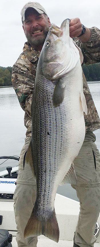 Captain Jim's Walleye and Striper 'Rivers in TN' Fishing Report - Coastal  Angler & The Angler Magazine