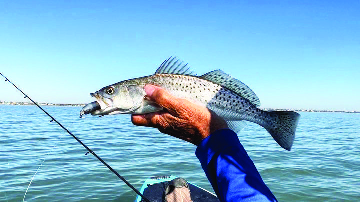 Perseverance - Coastal Angler & The Angler Magazine