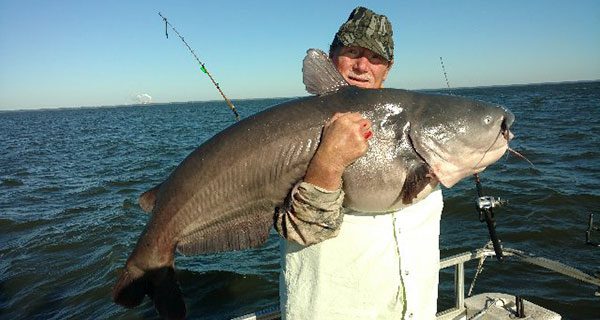 April Catfishing on Santee Cooper - Coastal Angler & The Angler